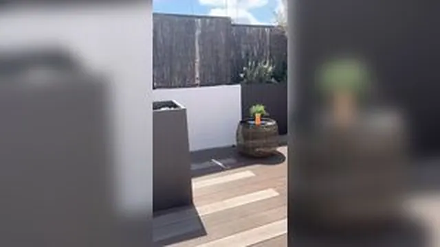 Yasmina Khan AKA Pengaliprincess Fucks On The Terrace While Neighbor Watches​ screenshot