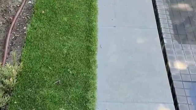 Angela White Sucks A Dick Beside The Swimming Pool