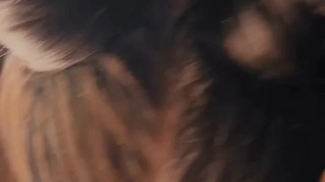 Kristen Hancher Pov Blowjob And Takes Huge Cum Facial Onlyfans Leak